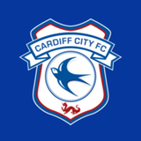 Cardiff City Stadium logo